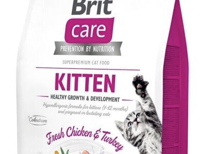 Brit care kuivtoit kassipoegadele