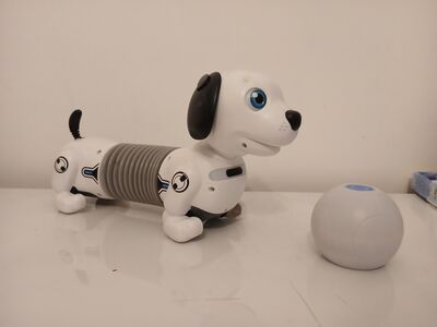 Robotkoer
