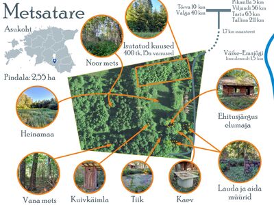 Privaatne, looduskaunis ja vaikne talukoht