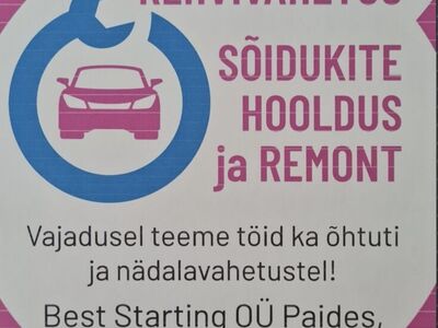 REHVIVAHETUS PAIDE LINNAS