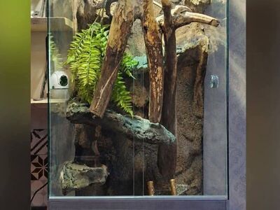 2 terraariumi soodushinnaga
