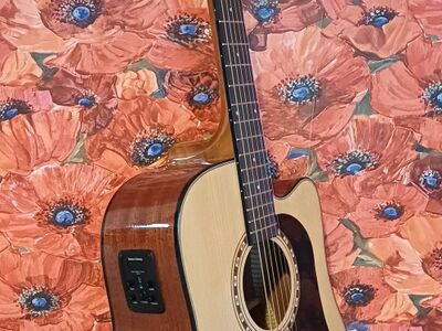 Kitarr Washburn, elektroakustiline