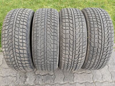 225/509 R18 Federal naastrehvid