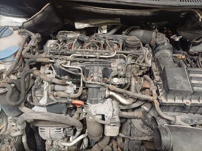 Volkswagen 1,6td 75kw mootor