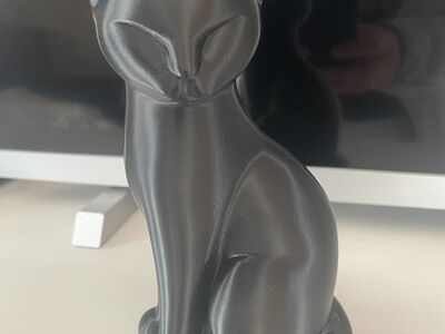Kass, 3D prinditud