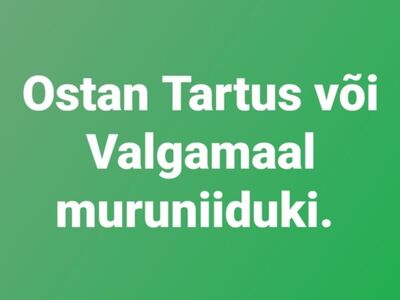 Muruniiduk