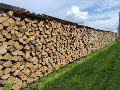 Lõhutud kuiv lepp
