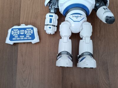 Robot
