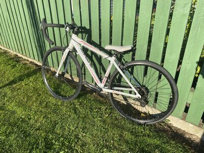 Laste maanteeratas Muddyfox Race 24