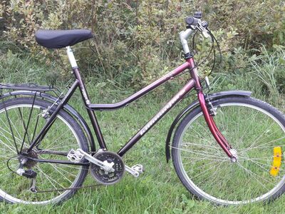 NORRA HOOLDATUD JALGRATAS DBS KILIMANJARO