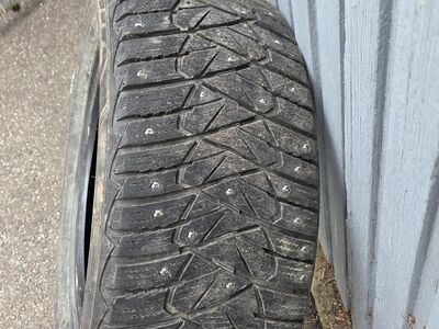 Naelrehvid 225/55r16