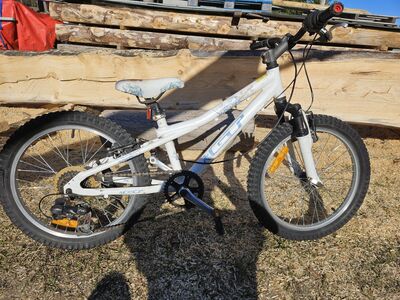 Jalgrattad 20"