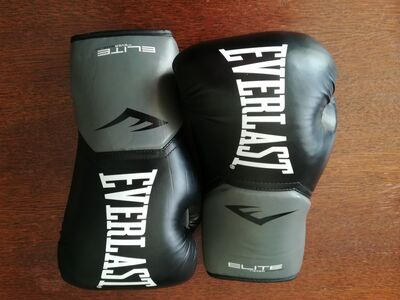 Poksikindad Everlast