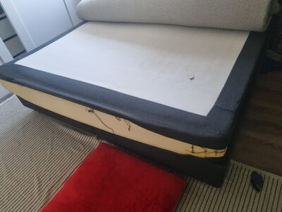 Poroloonmadrats