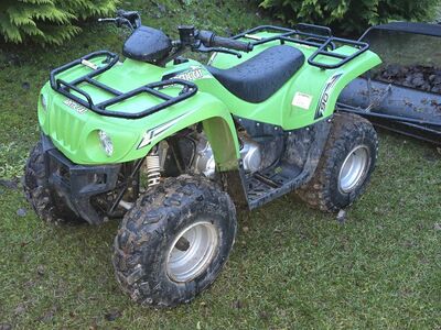 Arctic Cat 90cm³