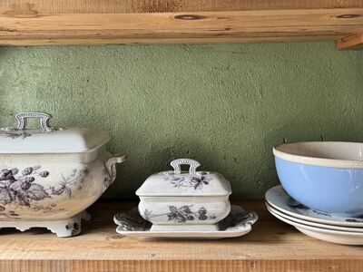 Villeroy & Boch Dresden – vana serveerimisnõude ko
