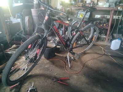 Bottecchia ratas