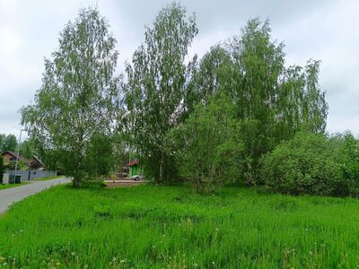 Elamukrunt - Puu tee 3, Soinaste, Kambja vald