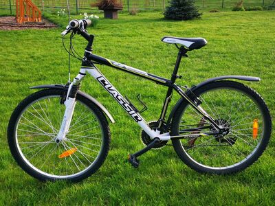 Jalgratas Classic Discovery 2.2