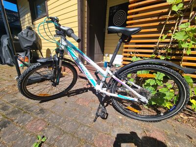 Mastikuratas Merida Matts alu, 16-käiku,24-tolli