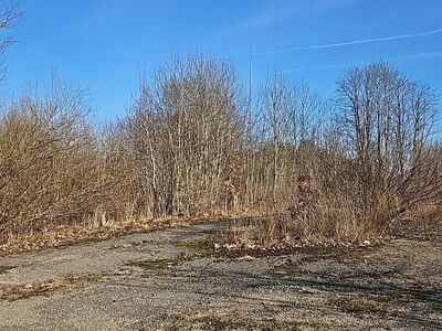 5752m2 krunt Viljandimaal, Hallistes
