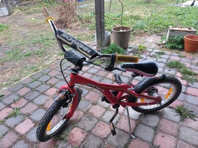 Lasteratas Schwinn