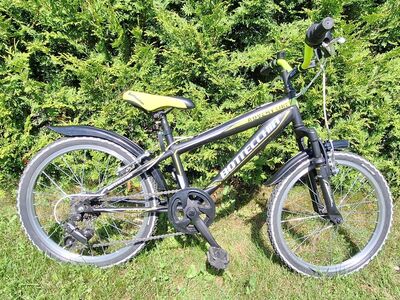 Laste jalgratas Bottecchia HC9 20 tolli