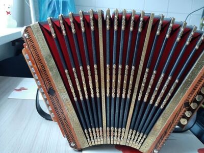 Müüa