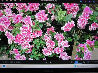 Monitor Samsung S24E650PL