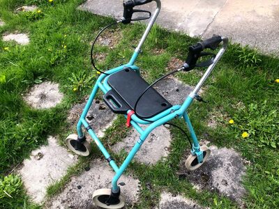 Rulaator
