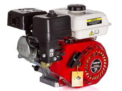 Mootor 7 HP / 19mm