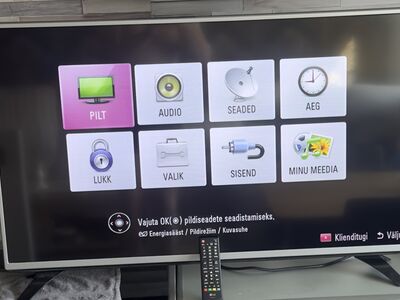 LG 43” televisoor
