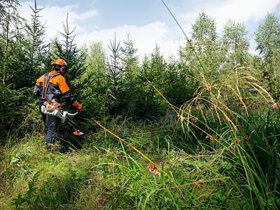 Võsalõikus ja saetööd