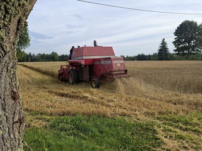 Massey Ferguson 186