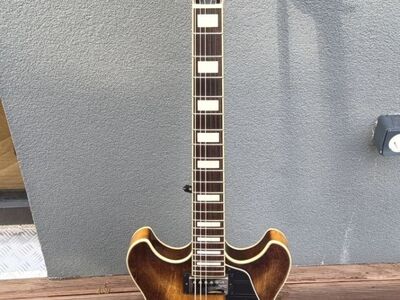 Ibanez AS73 elektrikitarr koos kohvriga