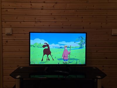 Teler Philips 32" (80 cm)