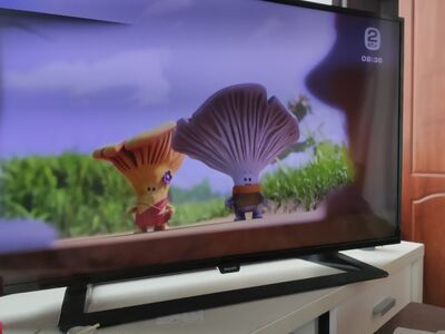 TV