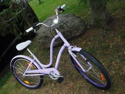 Cruiser jalgratas Electra Townie 3I EQ