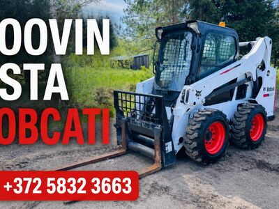 BOBCAT