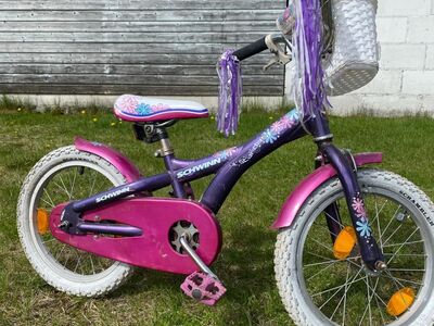 Lasteratas SCHWINN