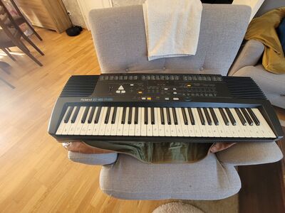 SÜNTESAATOR ROLAND E-16, KORRAS