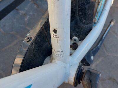 Lasteratas Trek 20"