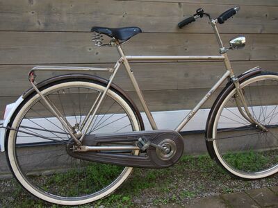 Gazelle sport solide