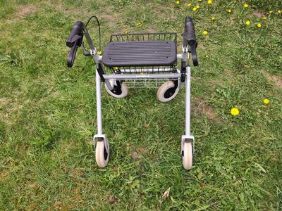 Rulaator