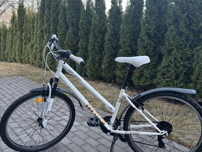 Jalgratas 26”