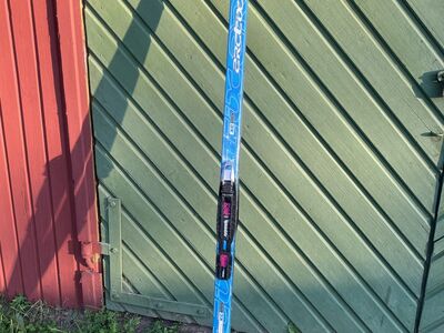 Murdmaasuusad Arctic