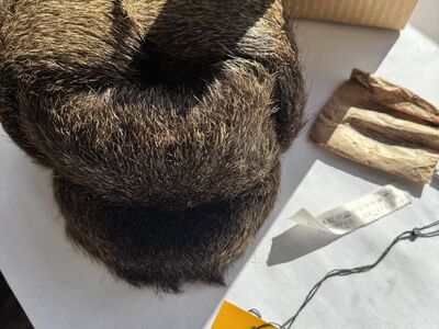 Vintage meeste nutria-karusnahast müts – uus/väga