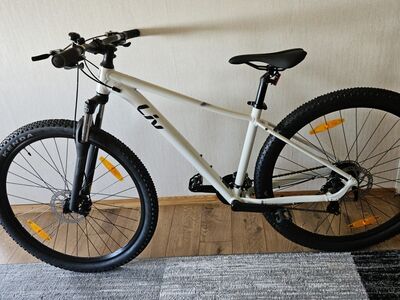 Naiste jalgratas LIV Tempt 5 Snow Drift, 29″