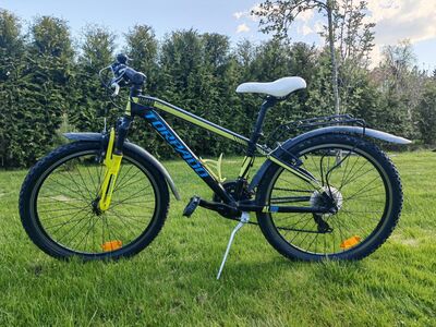 Torpado Jaguaro 24"