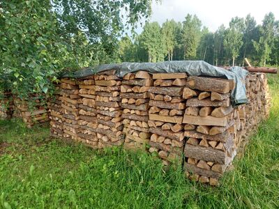 Küttepuud
